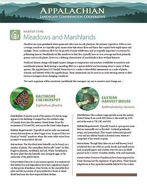 Fact Sheet: Habitat - Meadows and Marshlands
