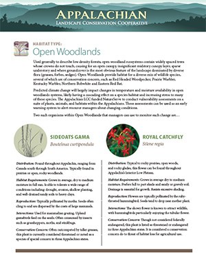 Fact Sheet: Habitat - Open Woodlands