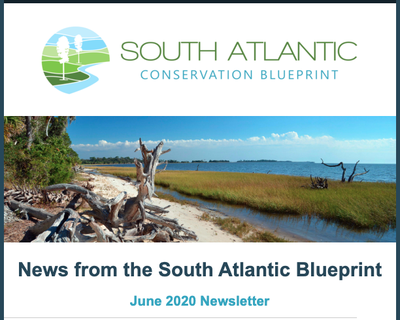 South Atlantic Blueprint Newsletter June 2020