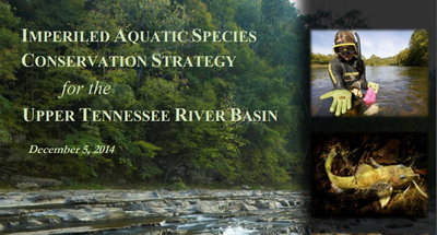Imperiled Aquatic Species Conservation Strategy for the Upper TN River Basin