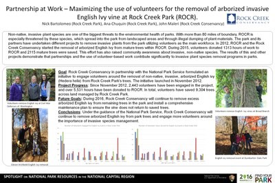 Maximizing the use of Volunteers for the Removal of Arborized Invasive English Ivy Vine at Rock Creek Park