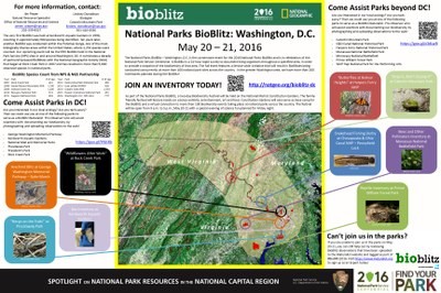 Upcoming Centennial BioBlitz 2016 events in the National Capital Region