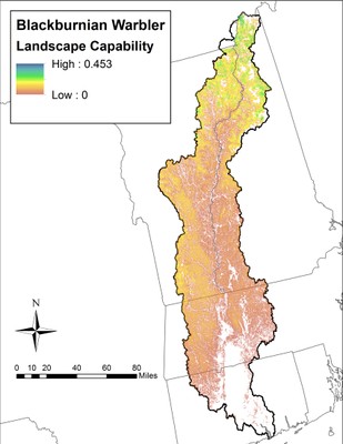 Landscape Capability for Blackburnian Warbler