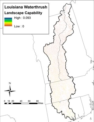 Landscape Capability for Louisiana Waterthrush