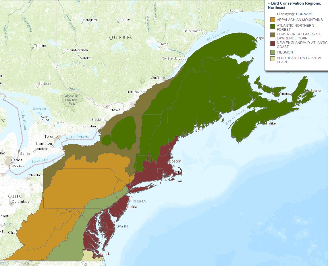 Bird Conservation Regions, Northern Appalachians — Landscape Partnership