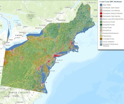 Land Cover, 2001, Northeast
