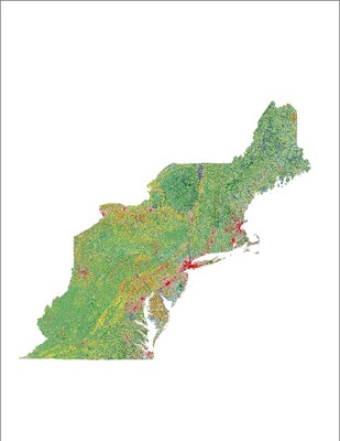 Land Cover, 2011
