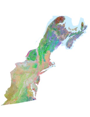 Terrestrial Habitat Map for the Northeast US and Atlantic Canada