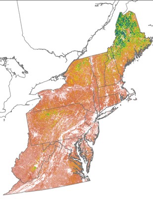 Landscape Capability for American Woodcock, Version 2.0, Northeast 