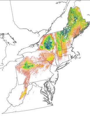 Landscape Capability for Blackburnian Warbler, Version 2.0, Northeast 