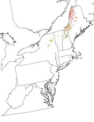 Landscape Capability for Blackpoll Warbler, Version 2.0, Northeast 
