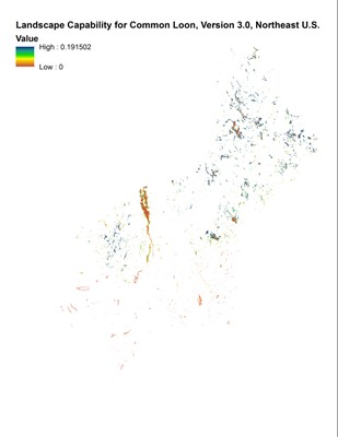 Landscape Capability for Common Loon, Version 3.0, Northeast U.S.