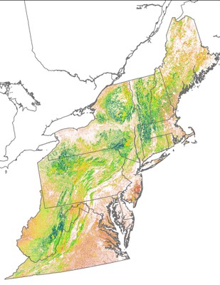 Landscape Capability for Ovenbird, Version 2.0, Northeast 