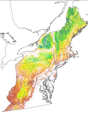 Landscape Capability for Ruffed Grouse, Version 2.0, Northeast