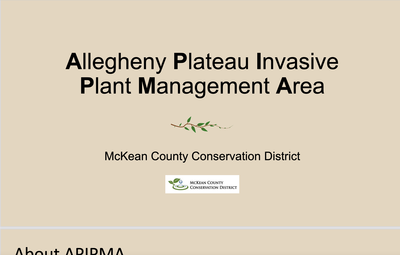 Allegheny Plateau Invasive Plant Management Area