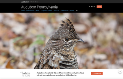 Audubon Pennsylvania