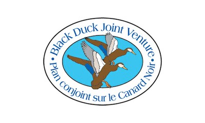 Black Duck Joint Venture