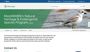 MassWildlife's Natural Heritage & Endangered Species Program