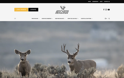 Mule Deer Foundation