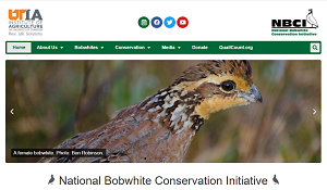 National Bobwhite Conservation Initiative