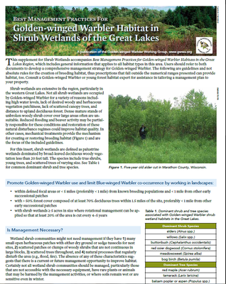 Best Management Practices for Golden-winged Warbler Habitat in Shrub Wetlands of the Great Lakes