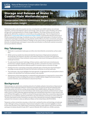 Storage and Release of Water in Coastal Plain Wetlandscapes