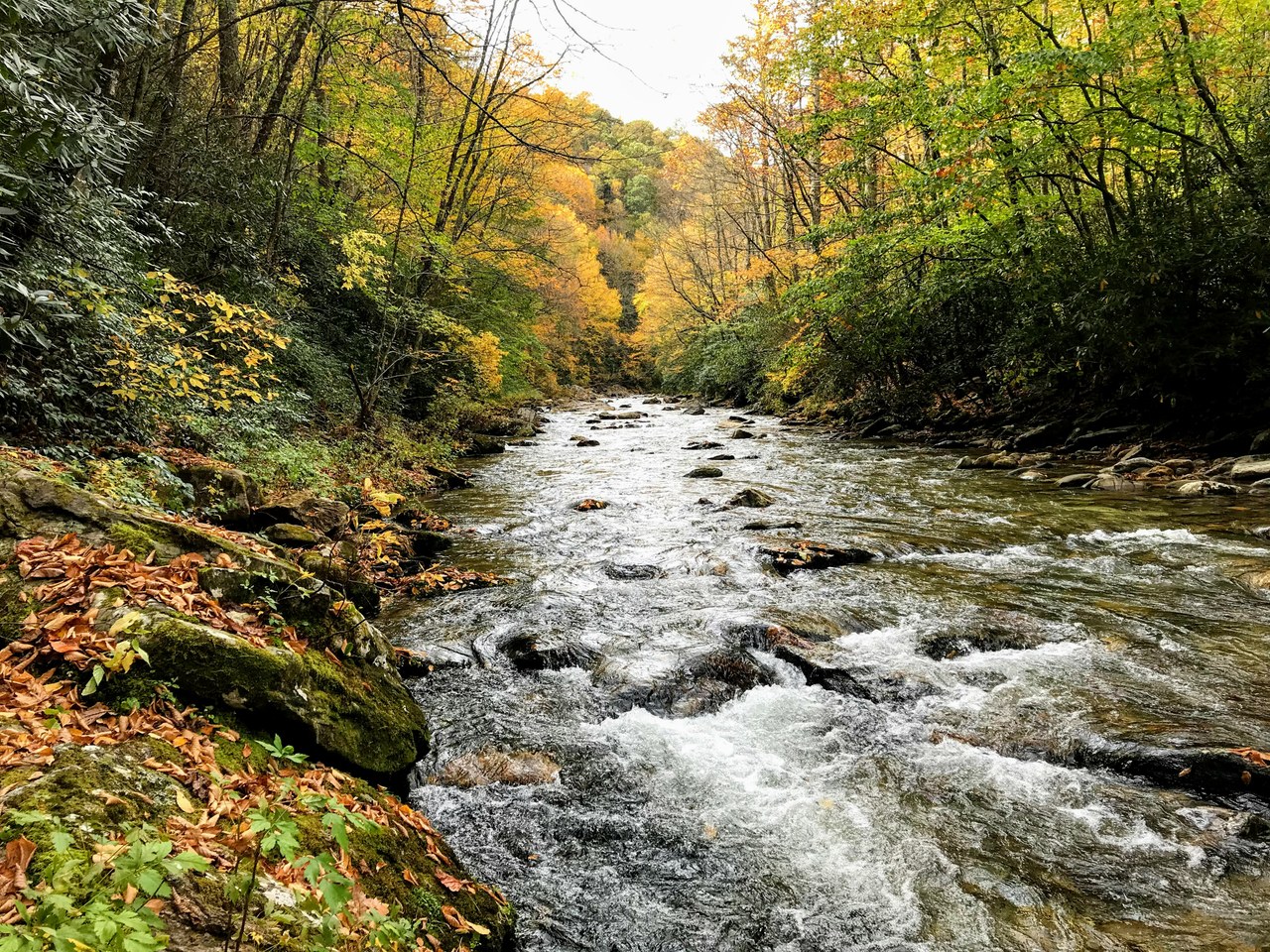 riparian buffers story photo