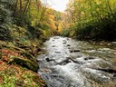  Big East Fork of the Pigeon River (NC)