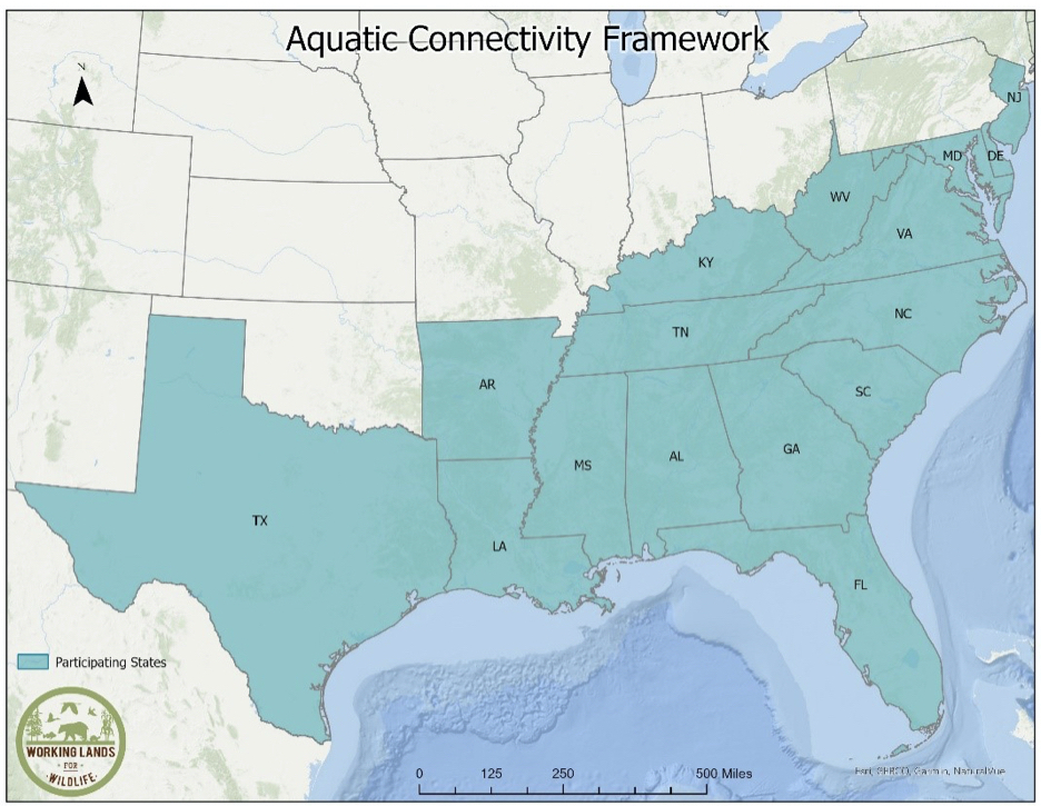 ACF Map