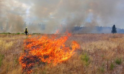 Tip for Raising EQIP Payment Rate for Prescribed Burns