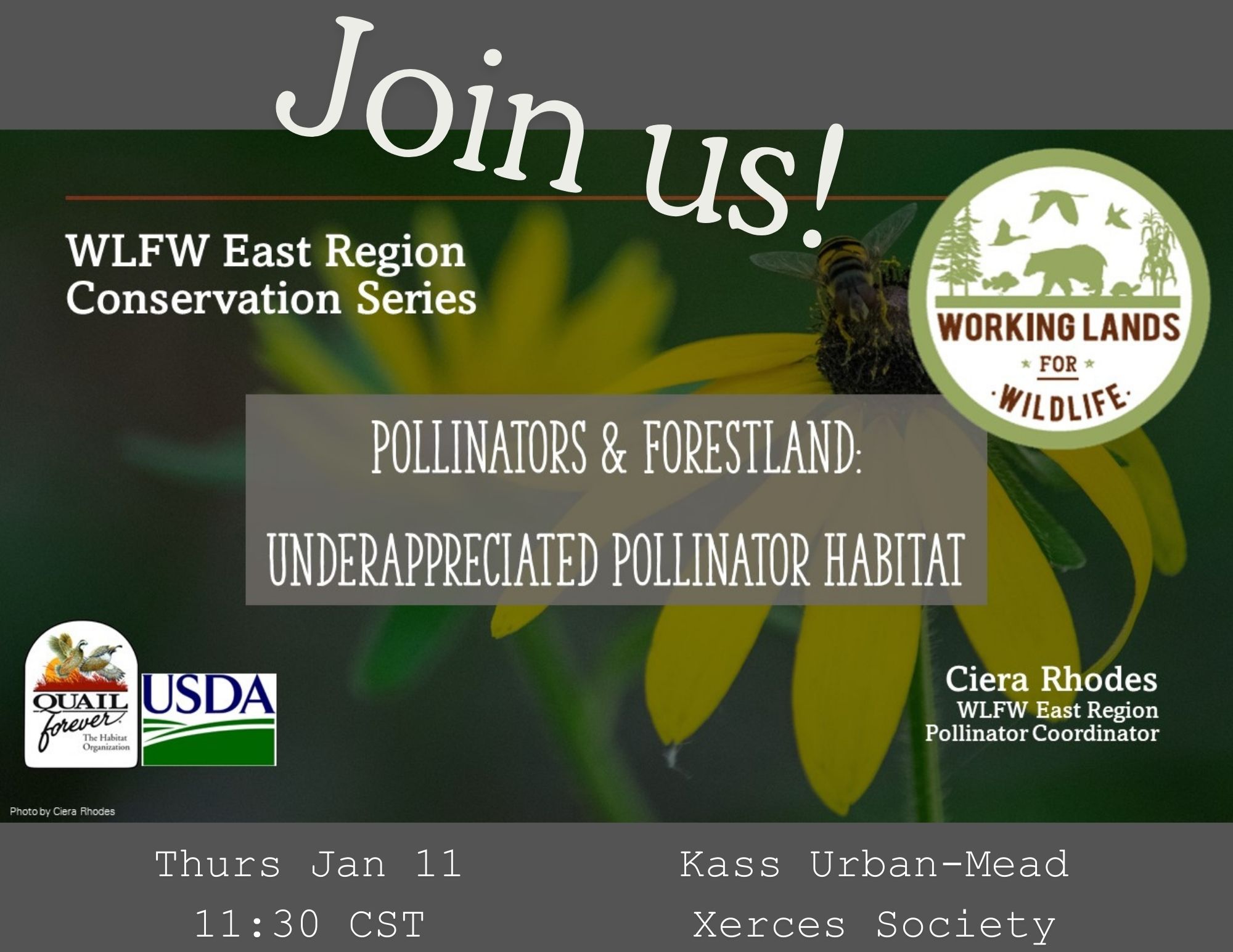 WLFW East Region Conservation Series