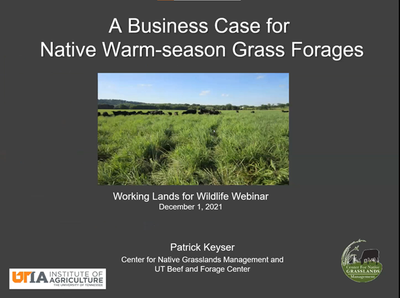 Establishing Native Grass Forages:A Brief Overview w/ Dr. Pat Keyser