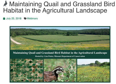 Maintaining Quail and Grassland Bird Habitat in the Agricultural Landscape