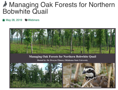Managing Oak Forests for Northern Bobwhite Quail