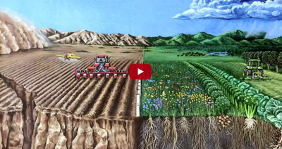 Regenerative Agriculture: No-Till Farming