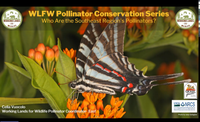 WLFW Pollinator Conservation Webinar Series: Session #2 Who are the Southeast Region’s Pollinators?