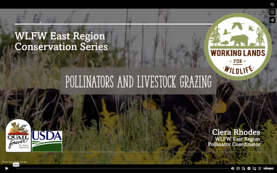 WLFW Pollinator Conservation Series: Session # 8 Pollinators and Livestock Grazing