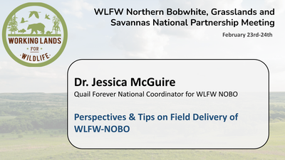 Perspectives & Tips on Field Delivery of WLFW-NOBO: Dr. Jessica McGuire
