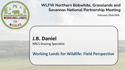 WLFW Field Perspective: J.B. Daniel