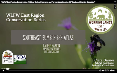 WLFW East Region Conservation Webinar Series: Programs and Partnerships Session #5 “Southeast Bumble Bee Atlas” 