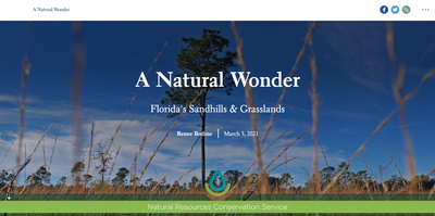 A Natural Treasure: Florida's Sandhills & Grasslands