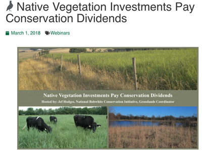 Native Vegetation Investments Pay Conservation Dividends
