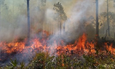 Southeast FireMap Publications
