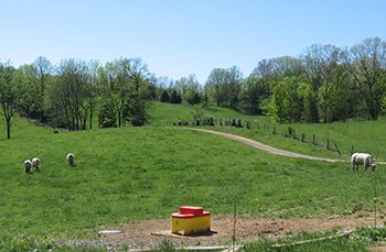 Eastern Divide Restoration