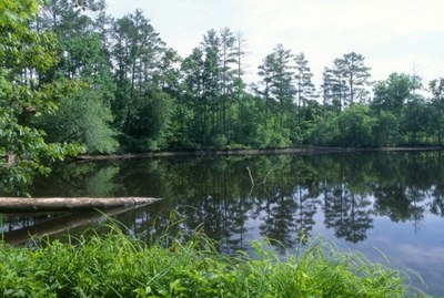 Uwharries to Sandhills Landscape Collaborative 