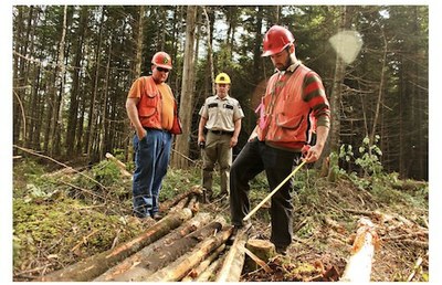 National Association of State Foresters Weekly Newsletter June 13, 2025