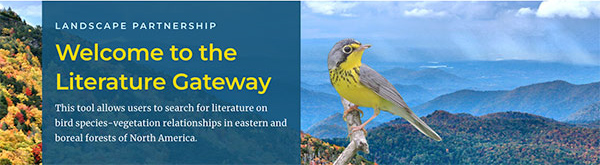 Literature Gateway Newsletter image.