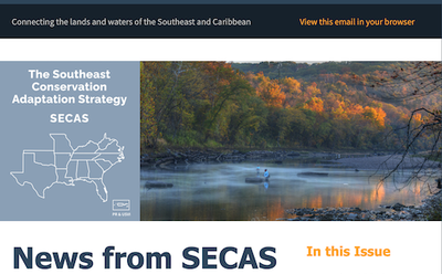 News from SECAS-August 2023 Newsletter