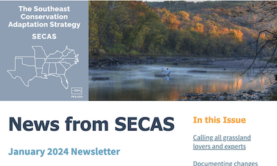 News from SECAS January 2024 Newsletter