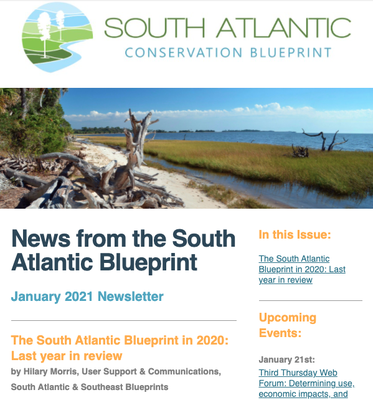 News from the South Atlantic Blueprint January 2021 Newsletter